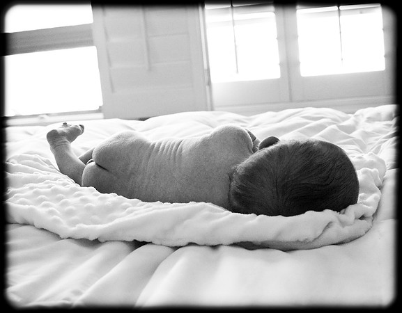 Foskett Creative Photography -88