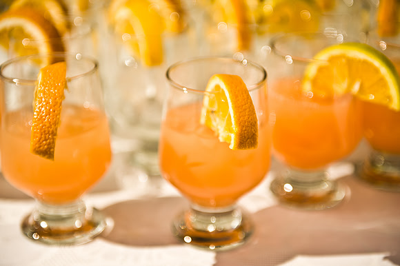 '2011-7 Cabo Wedding-7860