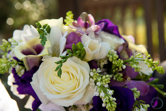 2012-12 FoskettCreative.com-1002