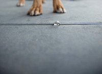 2012-8 Foskett Creative-0173