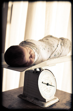 Foskett Creative Photography -342