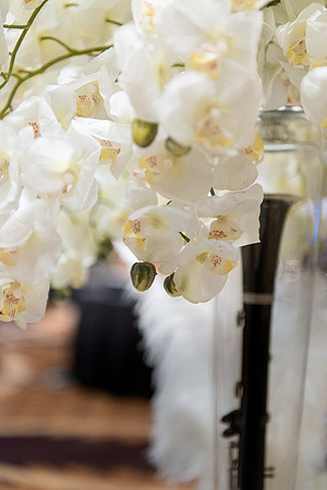 2013-9 FoskettCreative.com-162