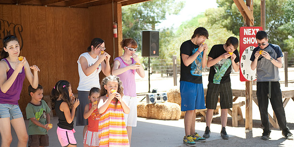 2010 Foskett Creative-1-39
