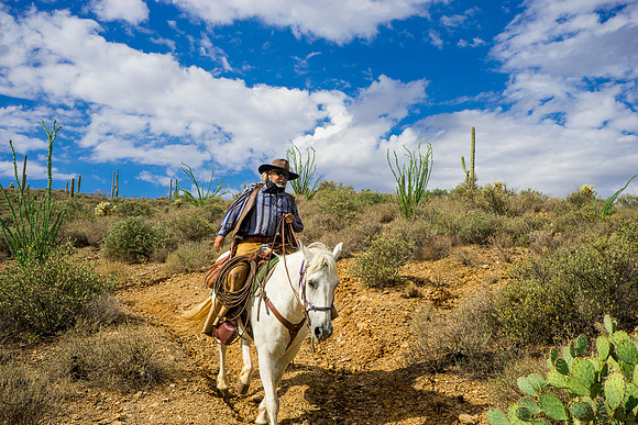 Spur Cross Stables-3-84