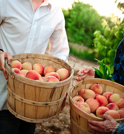 2011-5 Schnepf Farms Whole Foods Shoot-3021