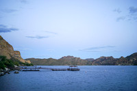 Saguaro Lake