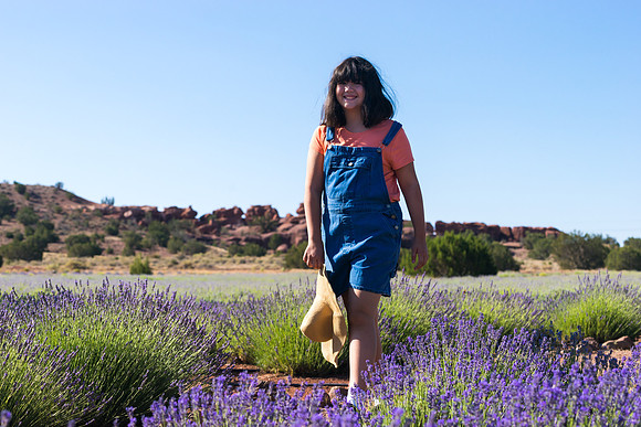 Lavendar Festival