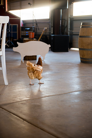 2012 Foskett Creative-2468