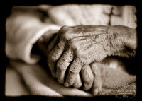2009-11 Grandma Schubert_-112