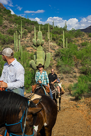 Spur Cross Stables-3-24