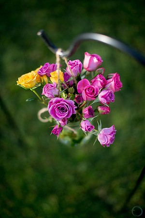 2013-5 Foskettcreative.com-1417