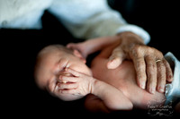 2010 Foskett Photography-283