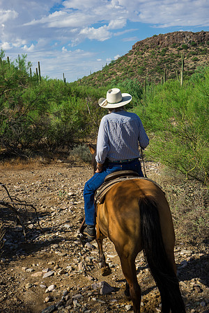 Spur Cross Stables-3-15