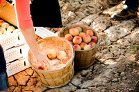 2011-5 Schnepf Farms Whole Foods Shoot-2081