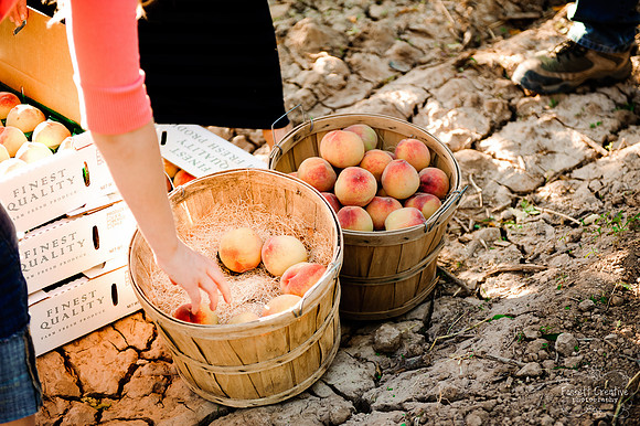 2011-5 Schnepf Farms Whole Foods Shoot-2081