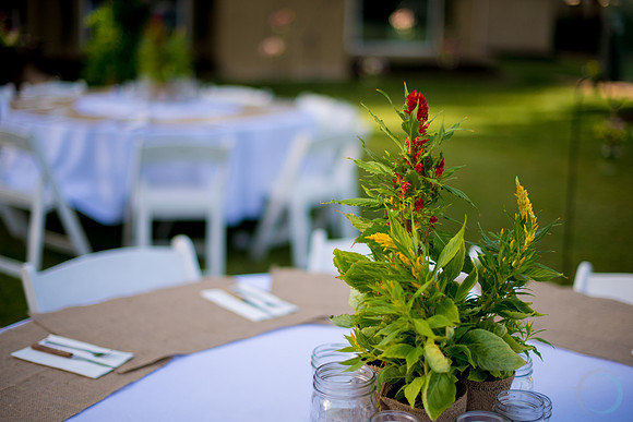 2013-5 Foskettcreative.com-1431
