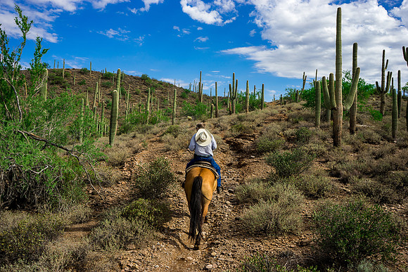 Spur Cross Stables-3-54