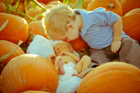 2011 Foskett Creative-1522