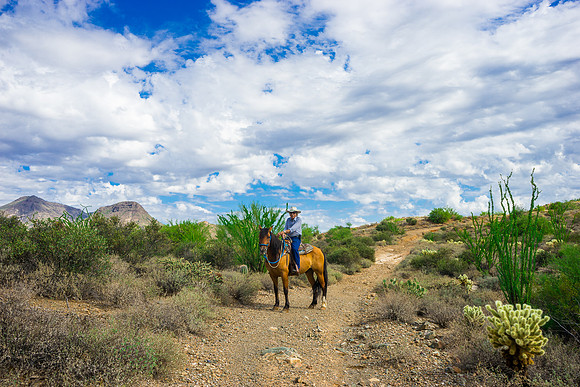 Spur Cross Stables-3-103