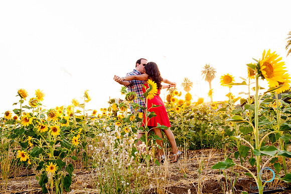 FoskettCreative20120606-1022