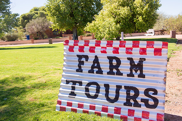 2012 Foskett Creative-2761