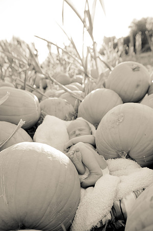 2011 Foskett Creative-1419