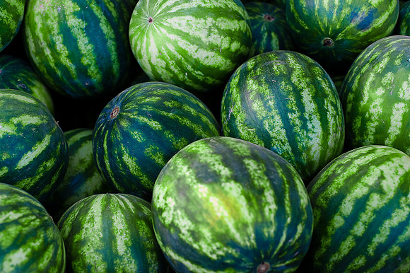 Schnepf Farms