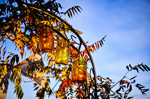 Foskett Creative Photography -265