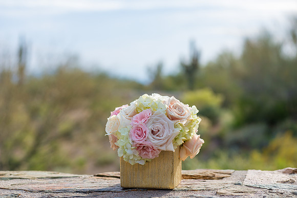 2014-2 Foskettcreative.com-209-2
