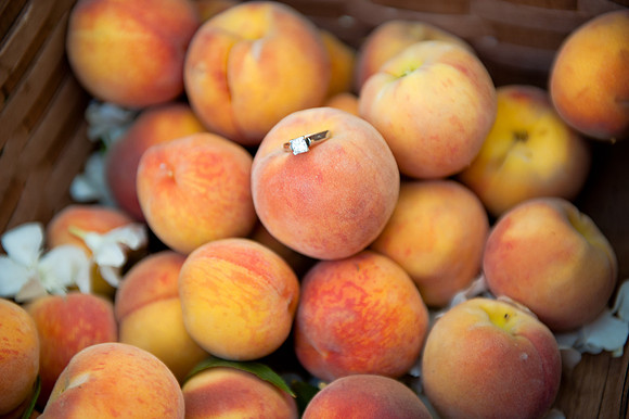 2010 Foskett Creative-407
