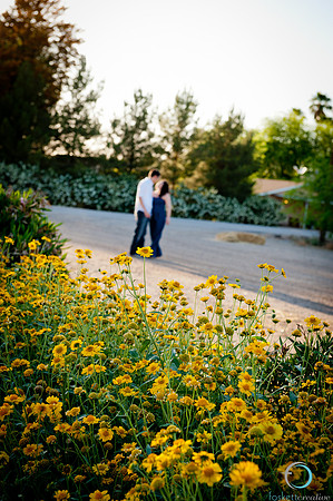 2012-4 Foskett Creative-1643