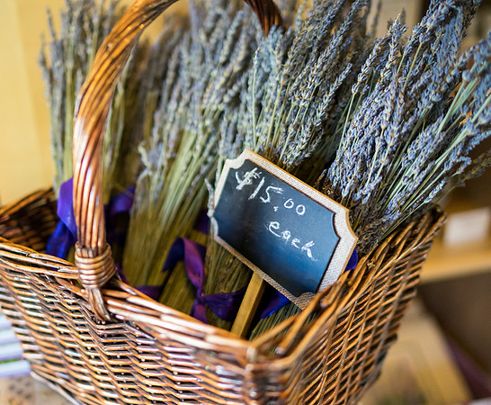 Lavendar Festival