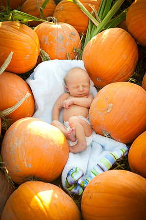 2011 Foskett Creative-1407