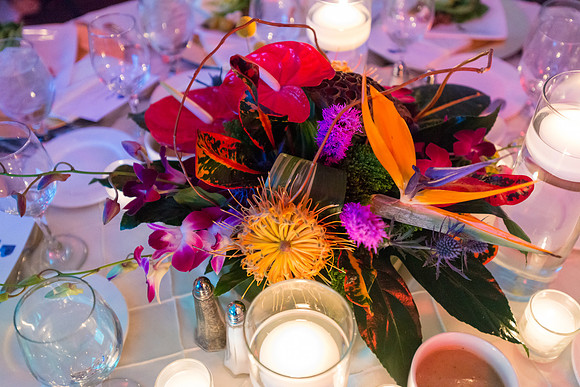 FoskettCreative2014-10-1368