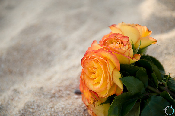 '2011-7 Cabo Wedding-0680
