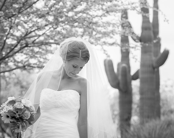 2015-4 Foskett Creative Photography-07234