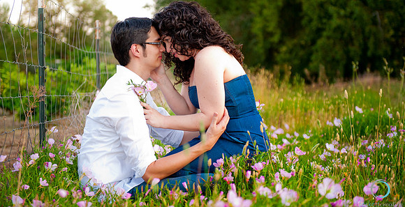 2012-4 Foskett Creative-2666