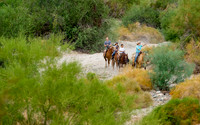 Ponderosa Stables-19