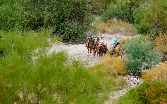 Ponderosa Stables-19