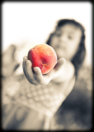 2010 Foskett Creative-397