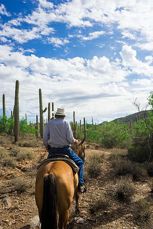 Spur Cross Stables-3-34