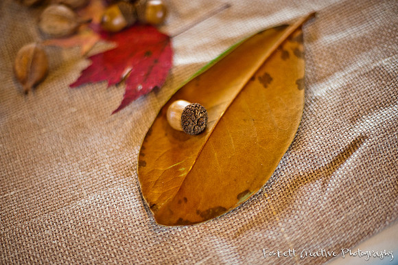 Foskett Creative Photography -429