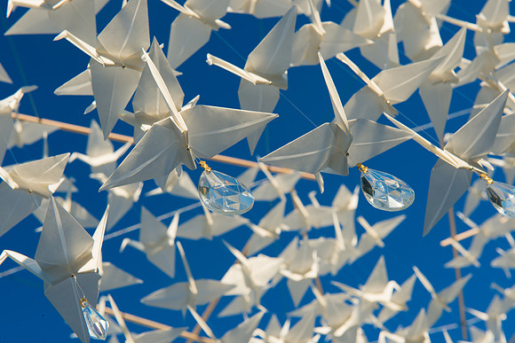 2012-9 Foskett Creative-4013