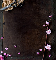 Peach Blossoms-6