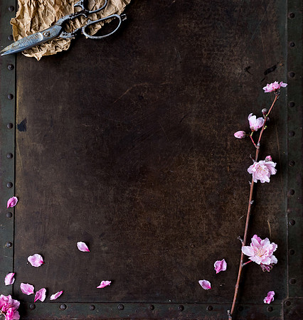 Peach Blossoms-6